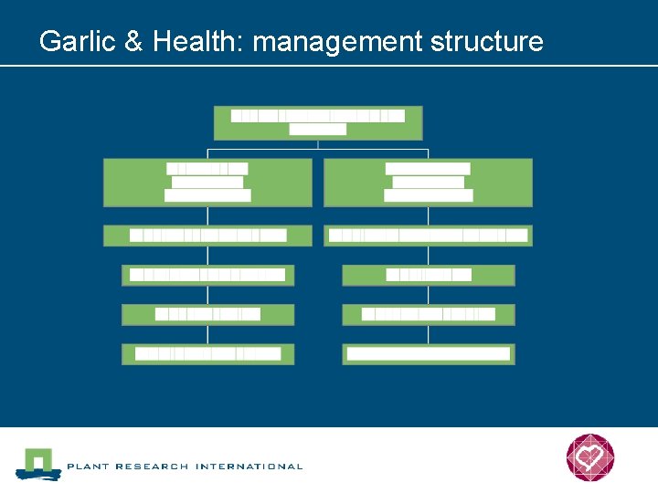 Garlic & Health: management structure 