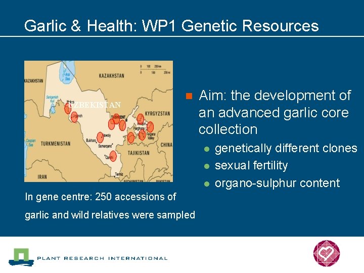 Garlic & Health: WP 1 Genetic Resources UZBEKISTAN n Aim: the development of an