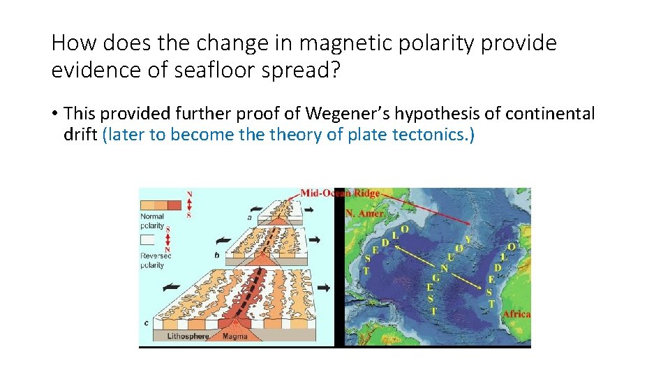 How does the change in magnetic polarity provide evidence of seafloor spread? • This How does the change in magnetic polarity provide evidence of seafloor spread? • This