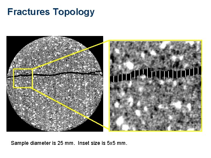 Fractures Topology Sample diameter is 25 mm. Inset size is 5 x 5 mm.