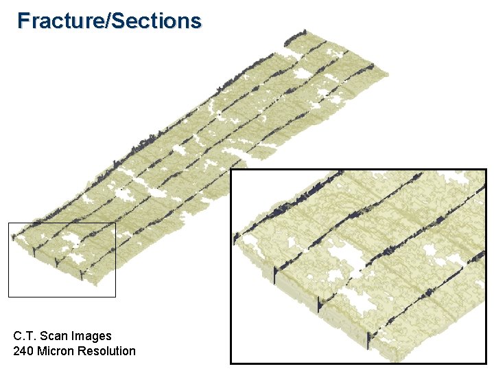 Fracture/Sections C. T. Scan Images 240 Micron Resolution 