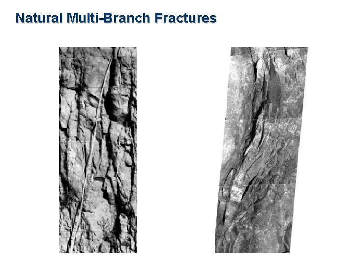 Natural Multi-Branch Fractures 