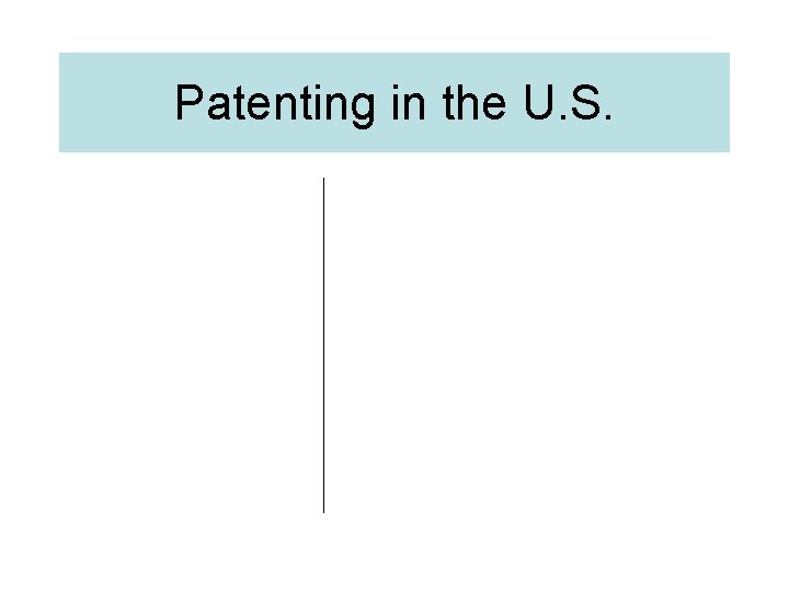 Patenting in the U. S. 