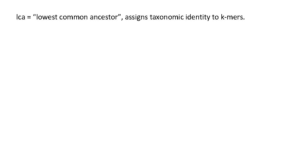 lca = “lowest common ancestor”, assigns taxonomic identity to k-mers. 