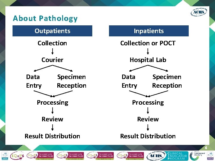 About Pathology Outpatients Inpatients Collection or POCT Courier Hospital Lab Data Entry Specimen Reception