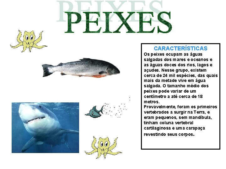 CARACTERÍSTICAS Os peixes ocupam as águas salgadas dos mares e oceanos e as águas CARACTERÍSTICAS Os peixes ocupam as águas salgadas dos mares e oceanos e as águas