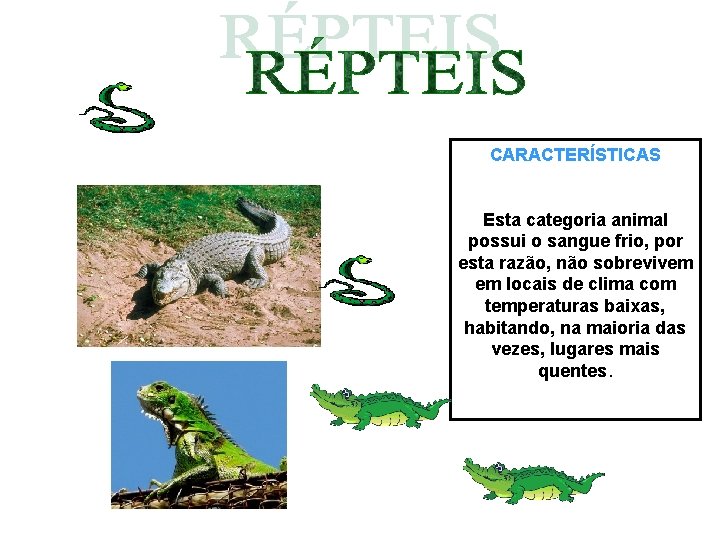 CARACTERÍSTICAS Esta categoria animal possui o sangue frio, por esta razão, não sobrevivem em CARACTERÍSTICAS Esta categoria animal possui o sangue frio, por esta razão, não sobrevivem em