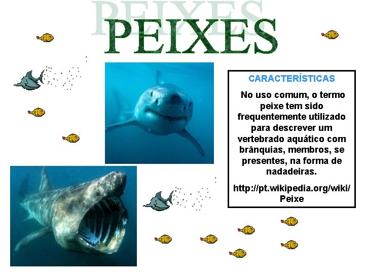 CARACTERÍSTICAS No uso comum, o termo peixe tem sido frequentemente utilizado para descrever um CARACTERÍSTICAS No uso comum, o termo peixe tem sido frequentemente utilizado para descrever um