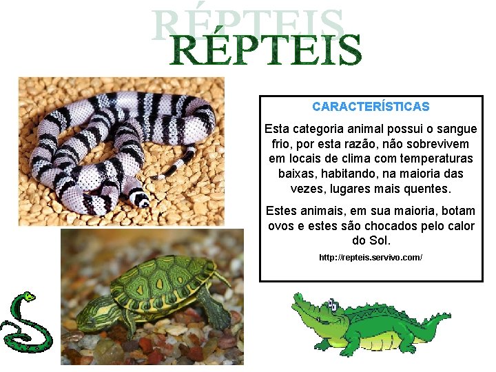 CARACTERÍSTICAS Esta categoria animal possui o sangue frio, por esta razão, não sobrevivem em CARACTERÍSTICAS Esta categoria animal possui o sangue frio, por esta razão, não sobrevivem em