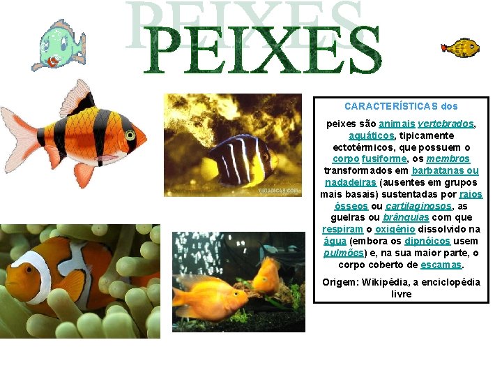 CARACTERÍSTICAS dos peixes são animais vertebrados, aquáticos, tipicamente ectotérmicos, que possuem o corpo fusiforme, CARACTERÍSTICAS dos peixes são animais vertebrados, aquáticos, tipicamente ectotérmicos, que possuem o corpo fusiforme,