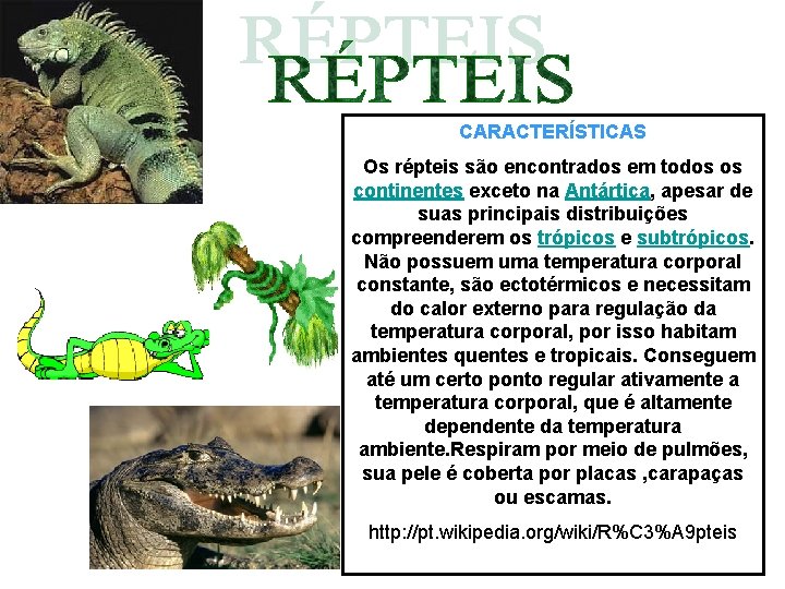 CARACTERÍSTICAS Os répteis são encontrados em todos os continentes exceto na Antártica, apesar de CARACTERÍSTICAS Os répteis são encontrados em todos os continentes exceto na Antártica, apesar de