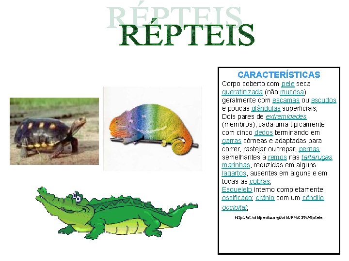 CARACTERÍSTICAS Corpo coberto com pele seca queratinizada (não mucosa) geralmente com escamas ou escudos CARACTERÍSTICAS Corpo coberto com pele seca queratinizada (não mucosa) geralmente com escamas ou escudos