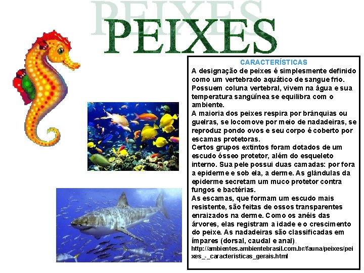 CARACTERÍSTICAS A designação de peixes é simplesmente definido como um vertebrado aquático de sangue CARACTERÍSTICAS A designação de peixes é simplesmente definido como um vertebrado aquático de sangue