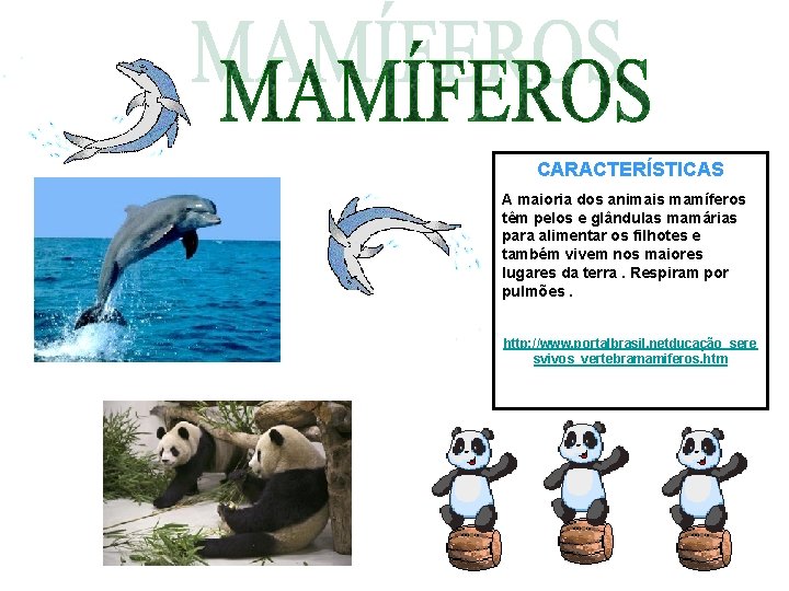 CARACTERÍSTICAS A maioria dos animais mamíferos têm pelos e glândulas mamárias para alimentar os CARACTERÍSTICAS A maioria dos animais mamíferos têm pelos e glândulas mamárias para alimentar os