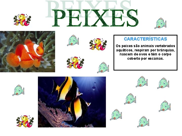 CARACTERÍSTICAS Os peixes são animais vertebrados aquáticos, respiram por brânquias, nascem de ovos e CARACTERÍSTICAS Os peixes são animais vertebrados aquáticos, respiram por brânquias, nascem de ovos e