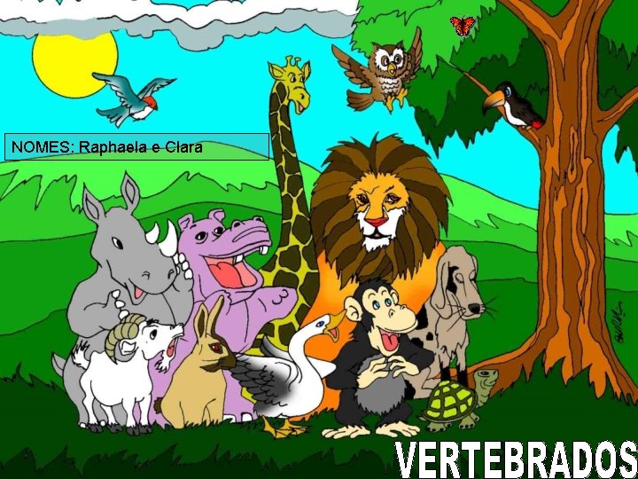 NOMES: Raphaela e Clara NOMES: Raphaela e Clara