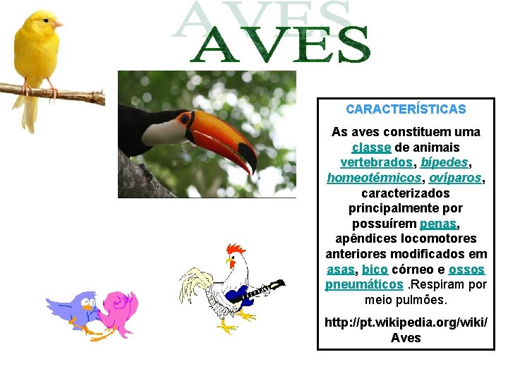 CARACTERÍSTICAS As aves constituem uma classe de animais vertebrados, bípedes, homeotérmicos, ovíparos, caracterizados principalmente CARACTERÍSTICAS As aves constituem uma classe de animais vertebrados, bípedes, homeotérmicos, ovíparos, caracterizados principalmente