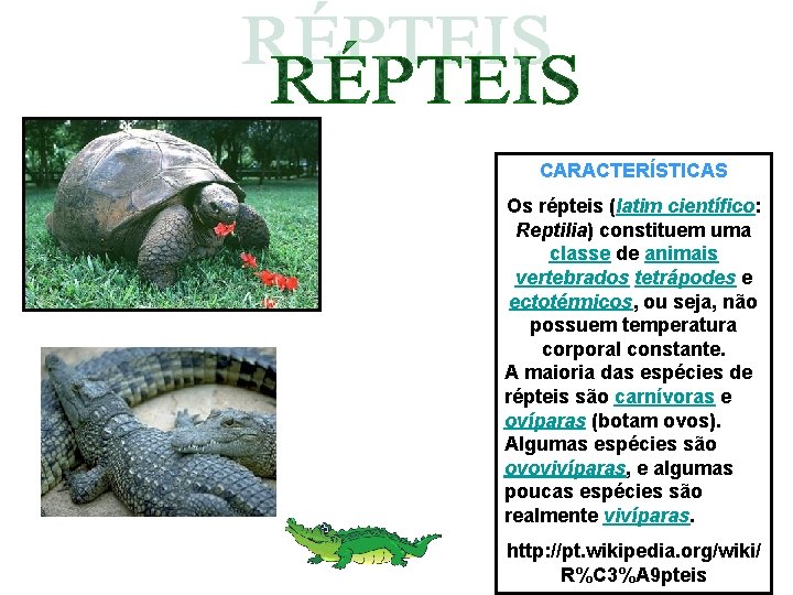CARACTERÍSTICAS Os répteis (latim científico: Reptilia) constituem uma classe de animais vertebrados tetrápodes e CARACTERÍSTICAS Os répteis (latim científico: Reptilia) constituem uma classe de animais vertebrados tetrápodes e