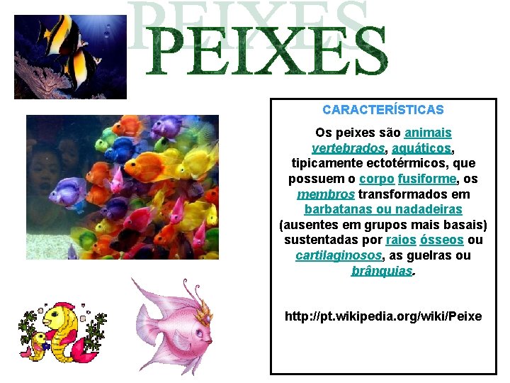 CARACTERÍSTICAS Os peixes são animais vertebrados, aquáticos, tipicamente ectotérmicos, que possuem o corpo fusiforme, CARACTERÍSTICAS Os peixes são animais vertebrados, aquáticos, tipicamente ectotérmicos, que possuem o corpo fusiforme,