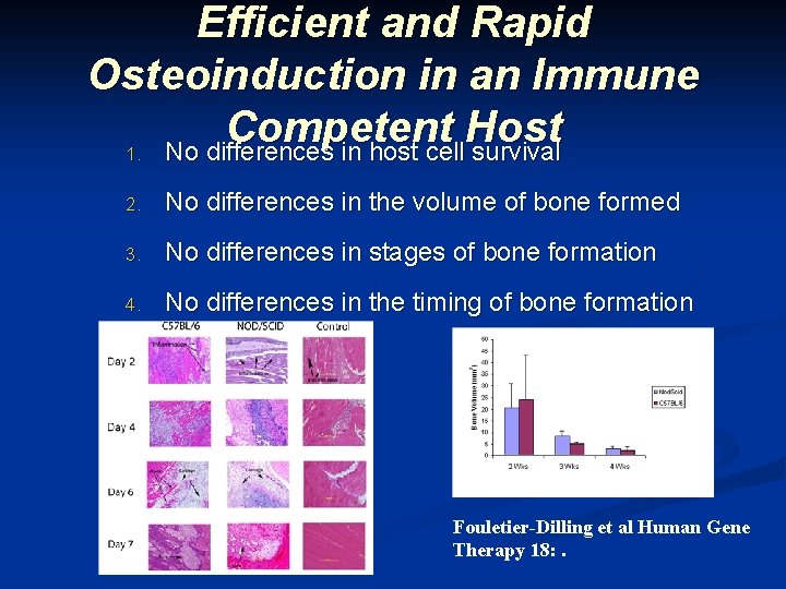 Efficient and Rapid Osteoinduction in an Immune Competent Host 1. No differences in host