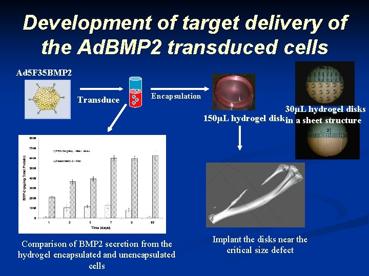 Development of target delivery of the Ad. BMP 2 transduced cells Ad 5 F