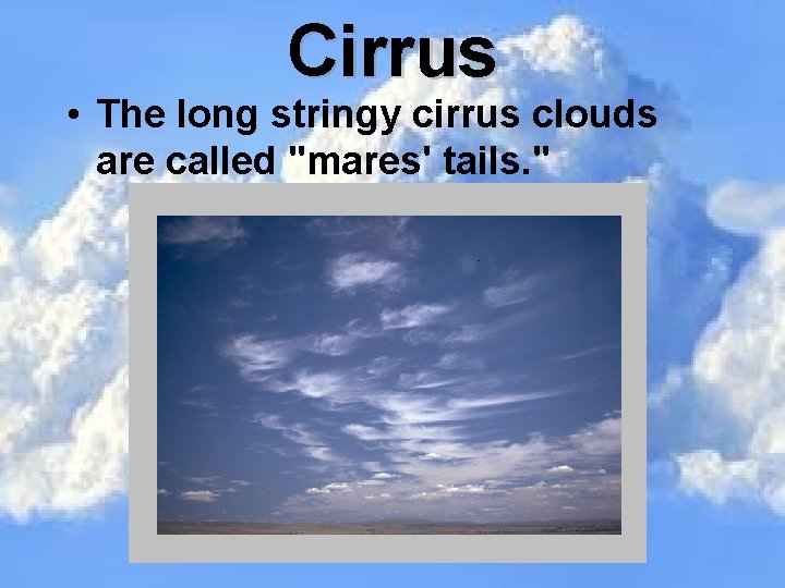 Cirrus • The long stringy cirrus clouds are called "mares' tails. " 