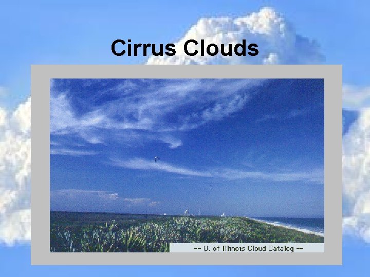 Cirrus Clouds 