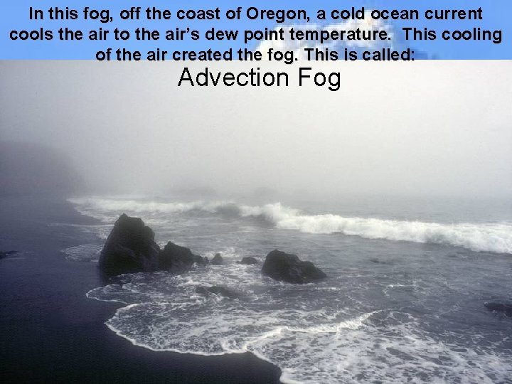 In this fog, off the coast of Oregon, a cold ocean current cools the