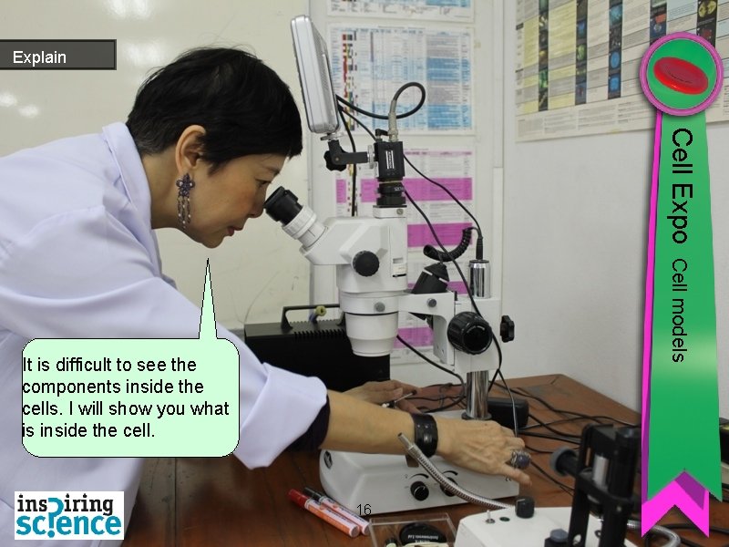 Explain Cell Expo Cell models It is difficult to see the components inside the