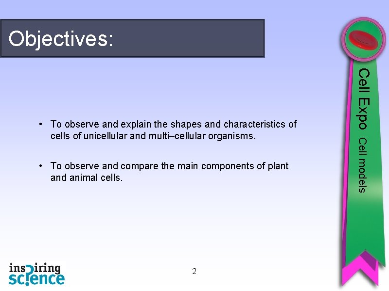Objectives: 2 Cell models • To observe and compare the main components of plant