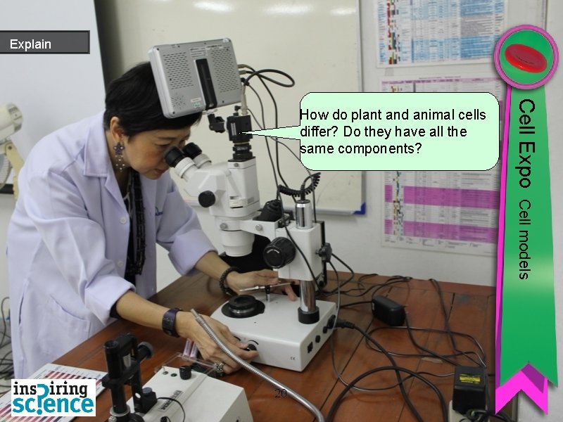 Explain Cell Expo How do plant and animal cells differ? Do they have all