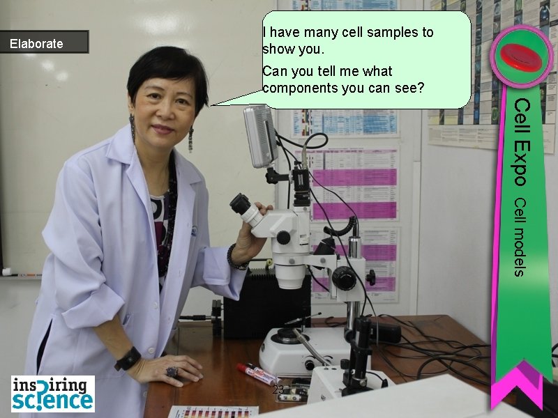 Elaborate I have many cell samples to show you. Can you tell me what
