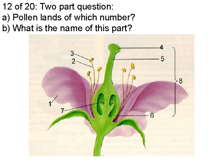 12 of 20: Two part question: a) Pollen lands of which number? b) What
