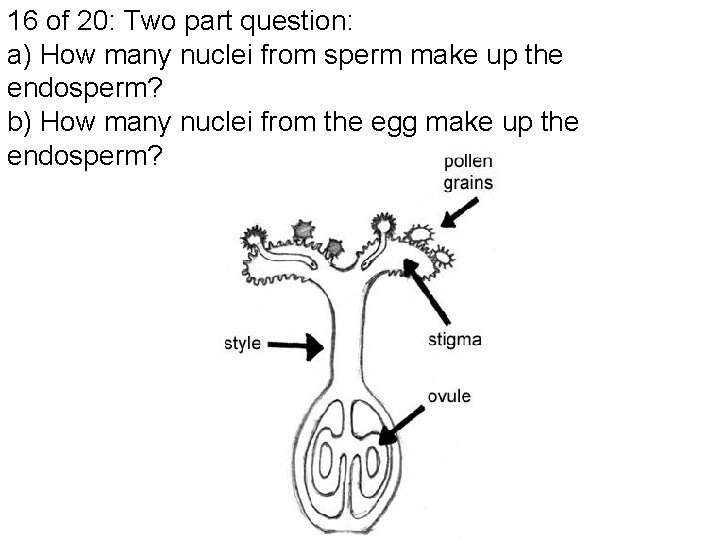 16 of 20: Two part question: a) How many nuclei from sperm make up