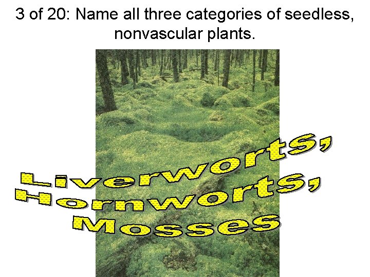 3 of 20: Name all three categories of seedless, nonvascular plants. 