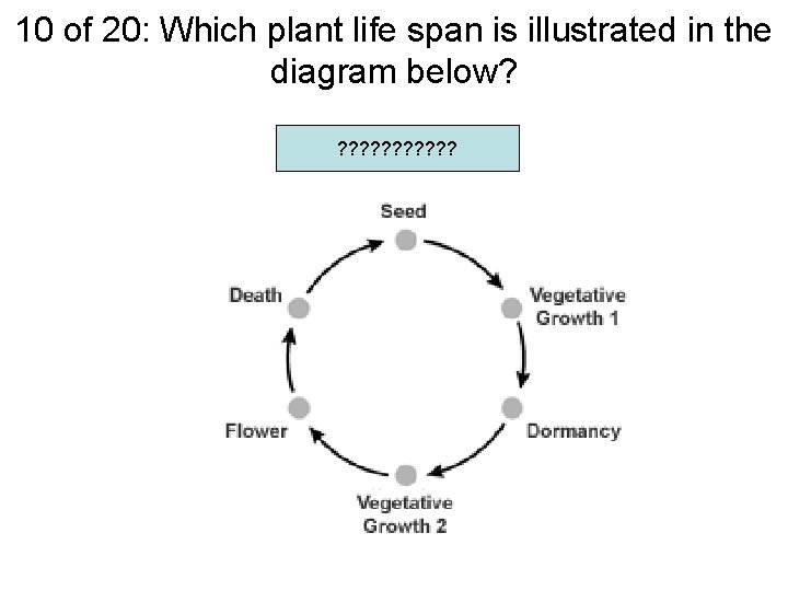 10 of 20: Which plant life span is illustrated in the diagram below? ?