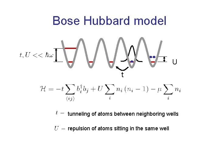 Bose Hubbard model U t tunneling of atoms between neighboring wells repulsion of atoms