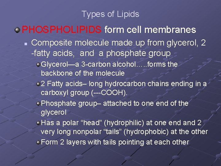Types of Lipids PHOSPHOLIPIDS form cell membranes n Composite molecule made up from glycerol,