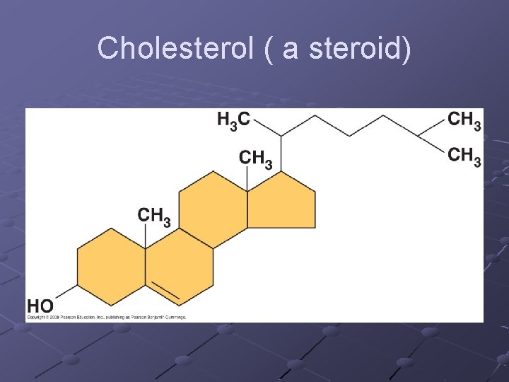 Cholesterol ( a steroid) 