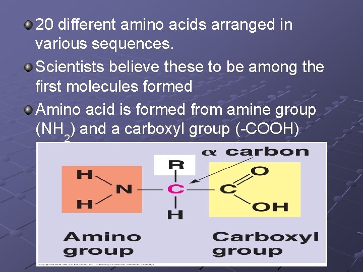 20 different amino acids arranged in various sequences. Scientists believe these to be among