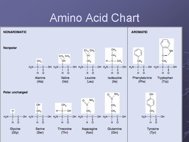 Amino Acid Chart 