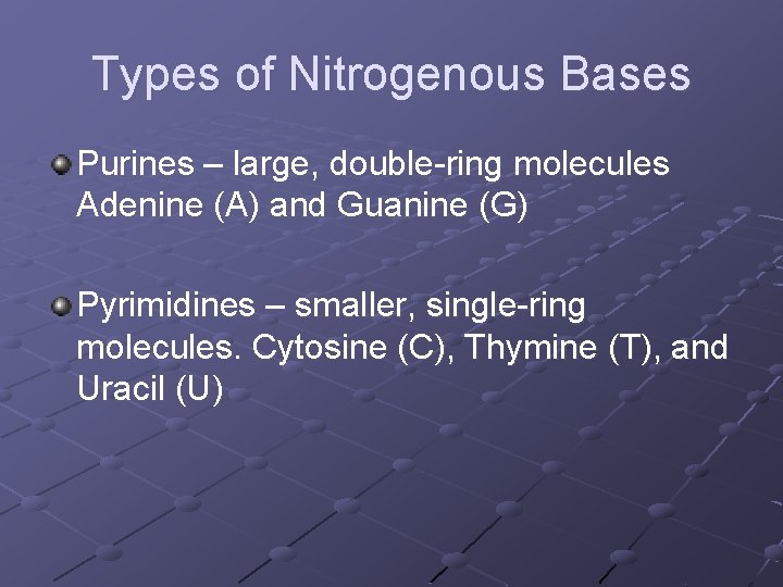 Types of Nitrogenous Bases Purines – large, double-ring molecules Adenine (A) and Guanine (G)