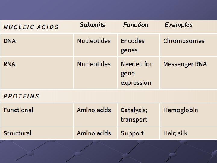 Subunits Function Examples 