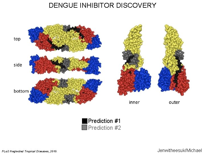 DENGUE INHIBITOR DISCOVERY Prediction #1 Prediction #2 PLo. S Neglected Tropical Diseases, 2010. Jenwitheesuk/Michael