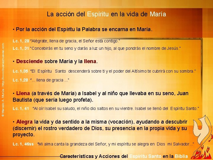 La acción del Espíritu en la vida de María © Marcelo A. Murúa -