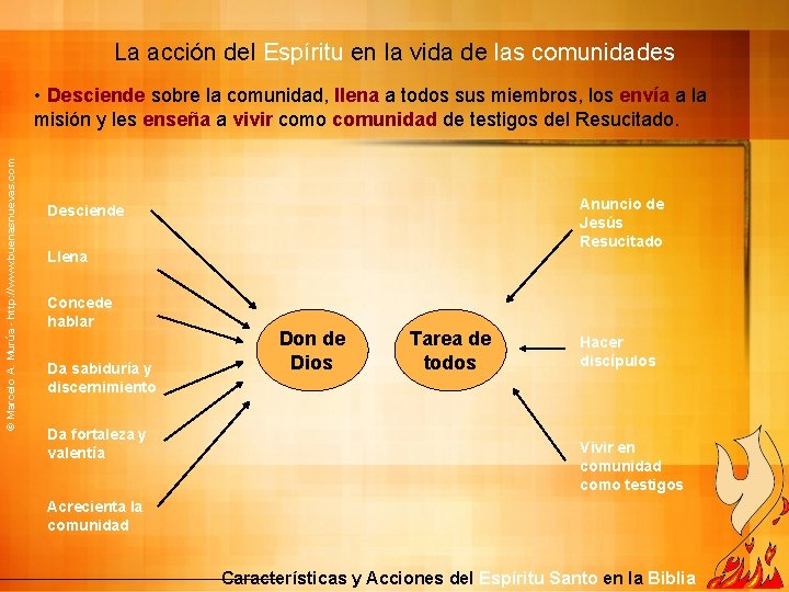 La acción del Espíritu en la vida de las comunidades © Marcelo A. Murúa La acción del Espíritu en la vida de las comunidades © Marcelo A. Murúa