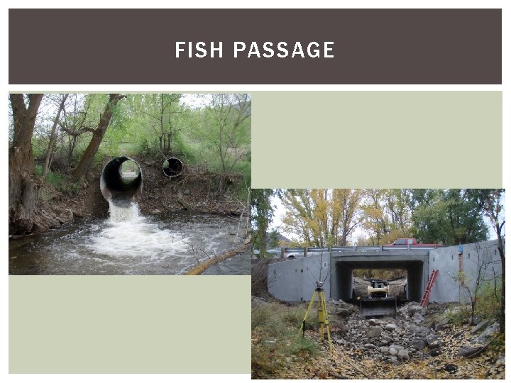 FISH PASSAGE 