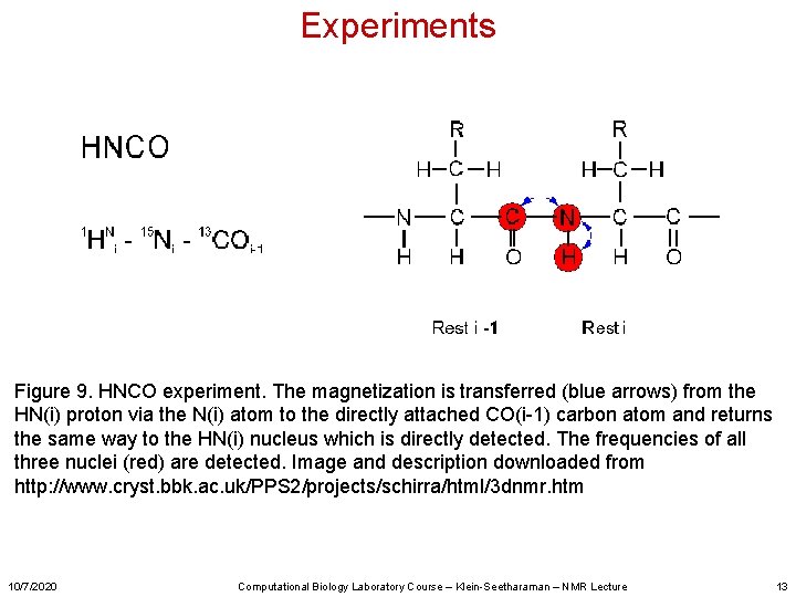 Experiments Figure 9. HNCO experiment. The magnetization is transferred (blue arrows) from the HN(i)