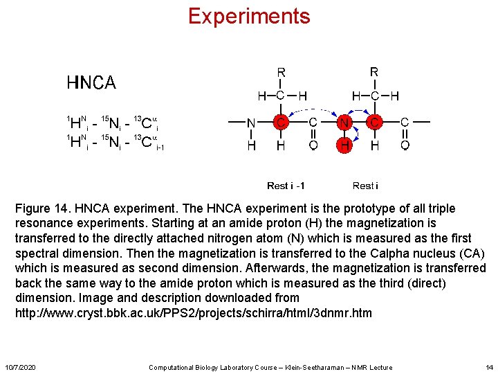 Experiments Figure 14. HNCA experiment. The HNCA experiment is the prototype of all triple