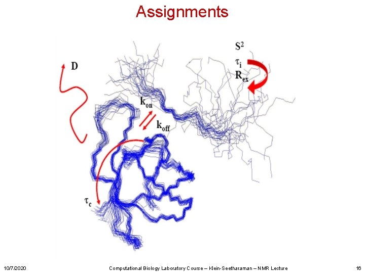 Assignments 10/7/2020 Computational Biology Laboratory Course – Klein-Seetharaman – NMR Lecture 16 